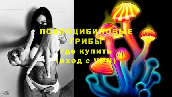 гидропоника Армянск