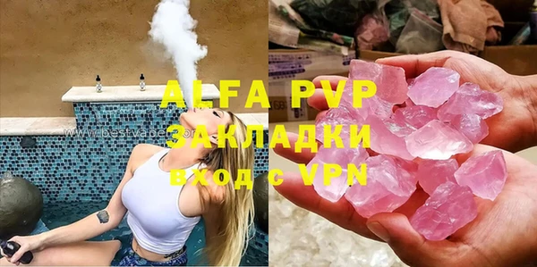 стафф Арсеньев