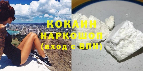 стафф Арсеньев
