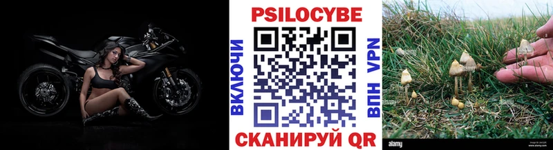 Псилоцибиновые грибы мицелий  Еманжелинск 