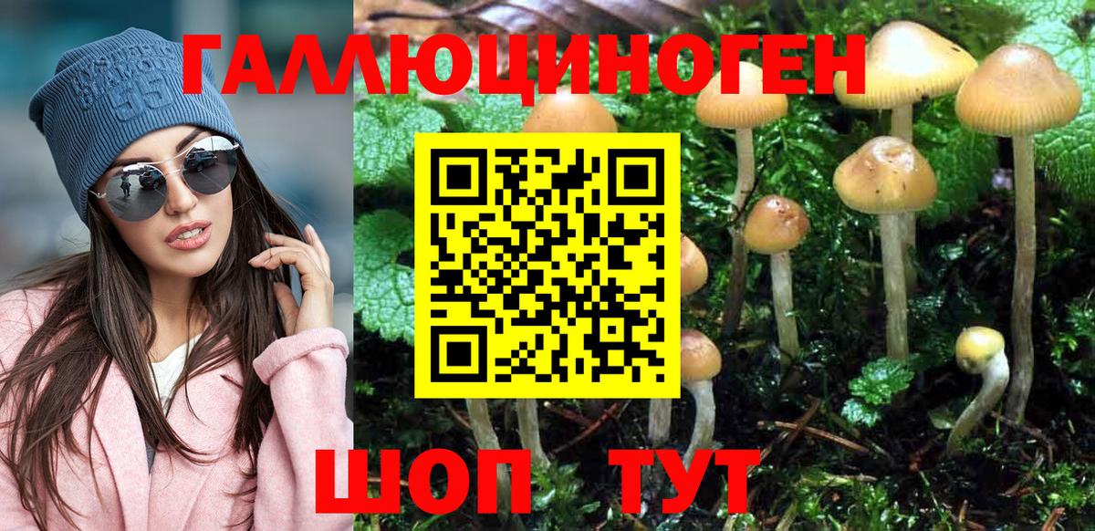 Галлюциногенные грибы Cubensis  Вход с VPN  Галлюциногенные грибы ЛСД  Еманжелинск 